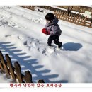 손자농장 Daum카페
