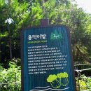 ♧서울 낙산공원 성곽길 투어 1♧ 이미지