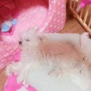 한빛동물병원 이미지