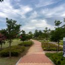 다숲 태양광발전소 이미지