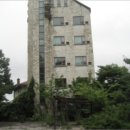 안내보은로 이미지