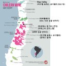 3~5만원대 칠레 시라 와인 비교 테이스팅 후기 Chile Syrah Wine Tasting 베스트 칠레 시라 와인 추천