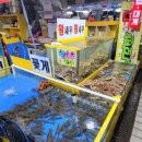 빠박이 | 소래포구종합어시장 저렴한 곳 / 레인보우 새우 / 빠박이네 쥐치 / 세자매 초장집 후기