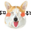 지주 헤어 살롱