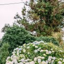 귤꽃스테이 이미지