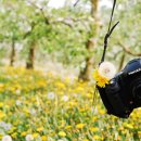 민들레농장 이미지