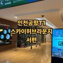 에스케이비즈 | 인천공항 스카이허브라운지 비즈티타늄 MG블랙카드 후기(노랑풍선 북유럽패키지 출발)