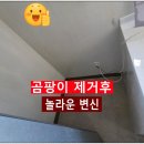 위너(WINNER) | 광주곰팡이제거 잘하는 업체 클린위너