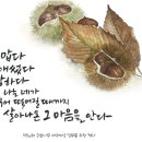 (주)파레아나 이미지