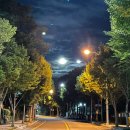 세븐일레븐 분당구미제일점 | I-phone VS Galaxy