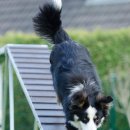 더 코드짐 이미지