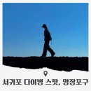 하례망장포로 | 서귀포 다이빙 스팟 삼달리 촬영지 망장포구