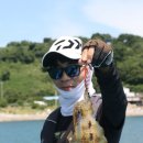 그린낚시 - 속초시 중앙로 289 | 그린낚시
