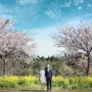 어여쁜스냅 이미지