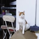에담하우스 이미지