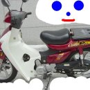 씨티플러스