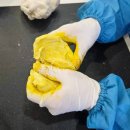 윤스공방 | 부산근교 놀거리 양산원데이클래스 무지개위돌고래 공방