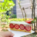 듀윗 | 신대방삼거리역 케이크 맛집🩷 디저트 카페 듀윗 Deweet