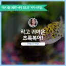 (주) 초록바다