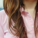 창원미용실 한하루헤어 본점에서 데미 플로디아 클리닉케 솔직 후기