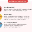 가임기 배란일 뜻 증상 가임기 계산법 첫날 마지막 날 비가임기 임신확률 이미지