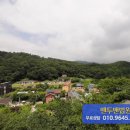 분당-137 이미지