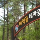홍천 pc 이미지