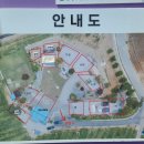 당진 캠핑장 완전정복, 서두물 캠핑장 반려견 동반 오토캠핑 가이드