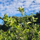 해진농장(2) 이미지