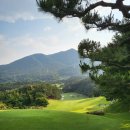 (사)부산컨트리클럽 | 부산cc 부산컨트리클럽 라운딩 후기