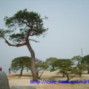 청솔조경 이미지