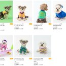 멍뭉(MUNGMOONG) 이미지