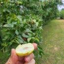 바람햇살농장 이미지