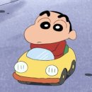 현대자동차평화점 | 세종운전면허학원 2종 보통 면허 4일만에 취득한 후기 (+신관자동차학원 vs 세종현대자동차학원)