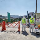 대한농장1 이미지