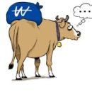 단군한우 이미지