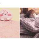 코~오 자자 이미지