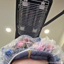 온누리애견미용실 | 낙성대역미용실 유헤어살롱 일반펌 히피펌 스타일대변신