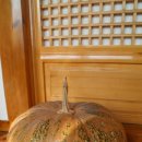 고니농장 이미지