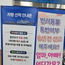 울릉이당 | 울릉도여행 울릉썬플라워크루즈 이용후기