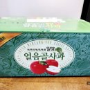 햇빛촌 농원 이미지