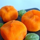 볼빨간 농원 이미지