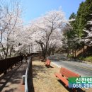 신한렌트카 이미지