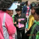 서귀중앙초등학교 이미지