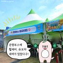 울산 6월 축제! 휠체어, 아이랑 가볼만한 곳 울산마두희축제 및 무장애관광 부스 후기