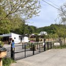 송전로 | 강원도 횡성, 대형견과 교감할 수 있는 천연잔디 운동장이 있는 / 도그마실 케니스 메이저 펜션