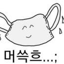 별별하하