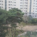 국공립맑은내어린이집 이미지