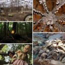 늘봄목장 이미지