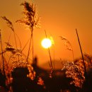 석양의추억 이미지